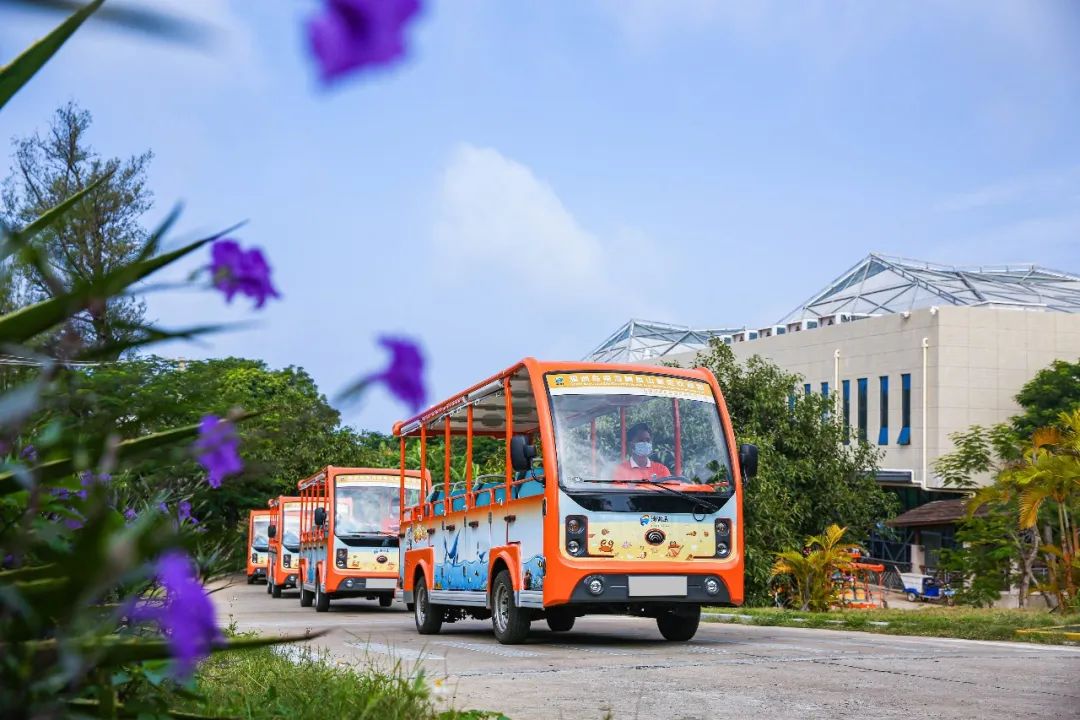 开放啦！9888拉斯维加斯橙色骑士团已就位，与您相约涠洲岛！