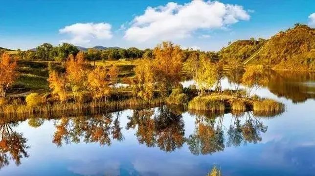 只看一眼就“沦陷”，这个秋天，来多伦湖邂逅第一波秋色！