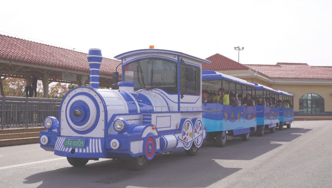 2024年“五一”假期旅游数据出炉，旅游市场呈现新趋势！