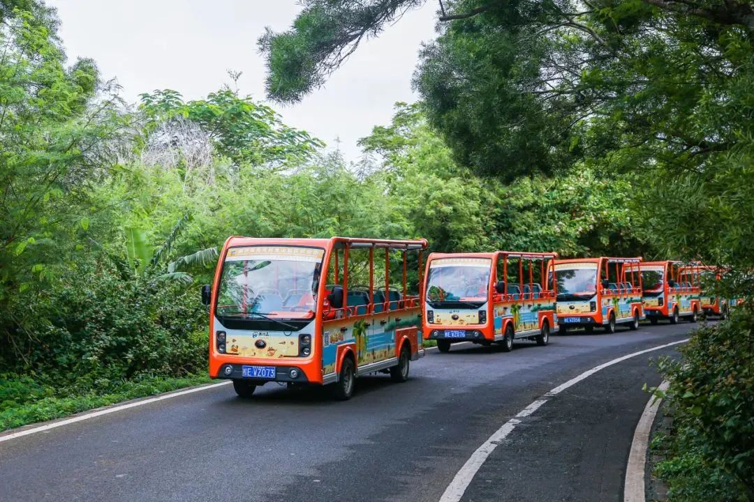 2024年“五一”假期旅游数据出炉，旅游市场呈现新趋势！