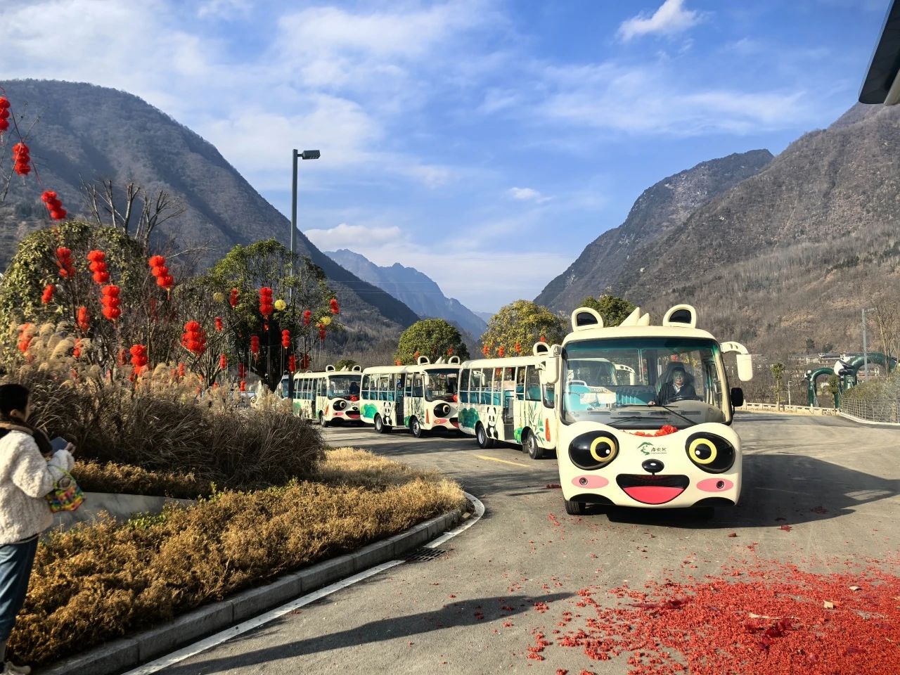 2025年景区交通该往哪儿发力？9888拉斯维加斯观光车助力打造景区交通运营新“范式”